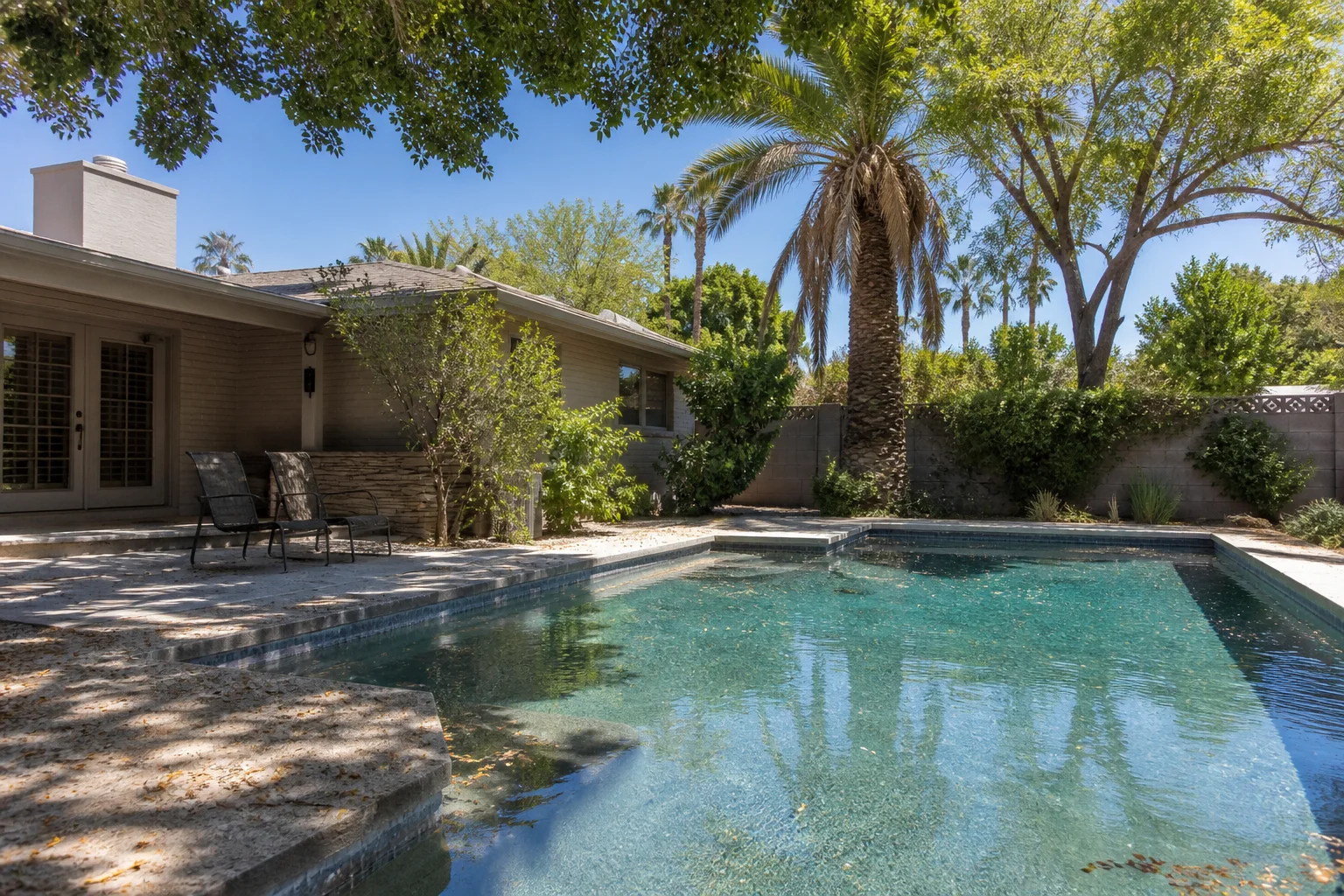 Mature Tempe backyard pool with shade, sun exposure, and windblown landscaping debris