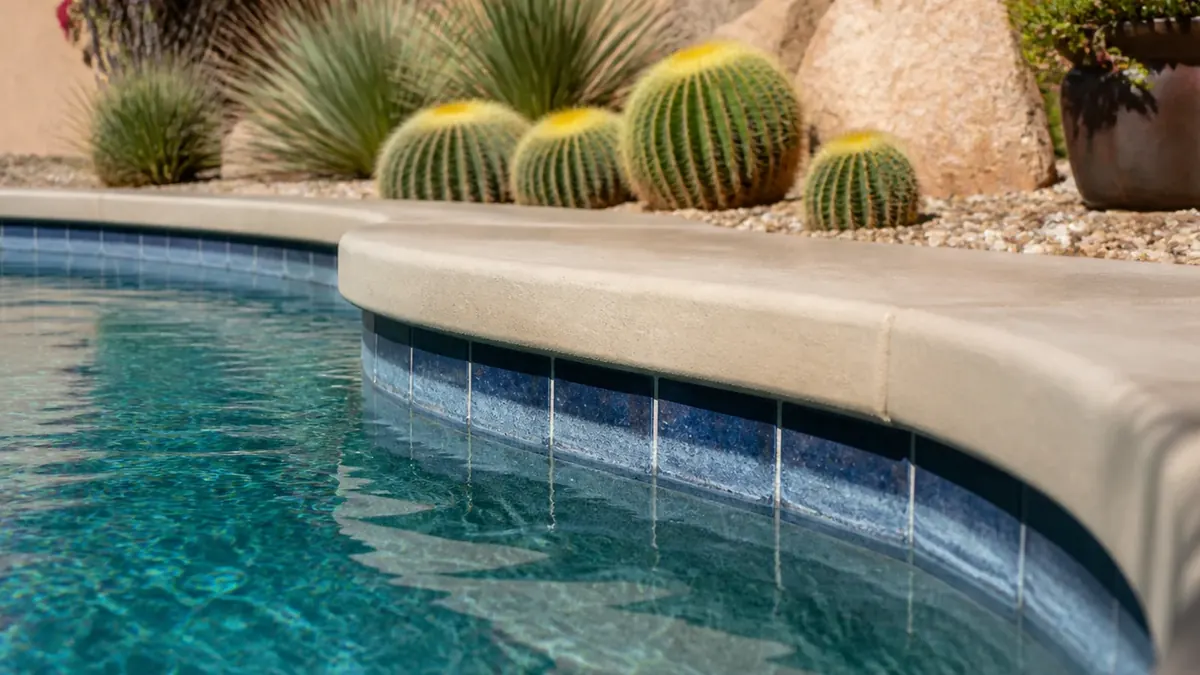 Blue pool water and waterline tile beside cacti in an Arizona backyard.
